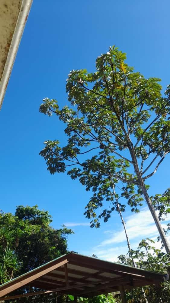 Corredores Del Pacuare La Suiza ภายนอก รูปภาพ