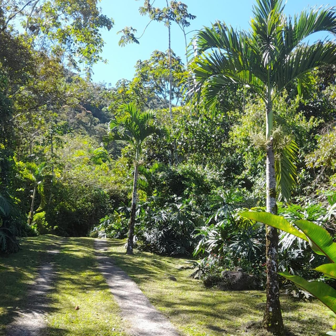 Corredores Del Pacuare La Suiza ภายนอก รูปภาพ